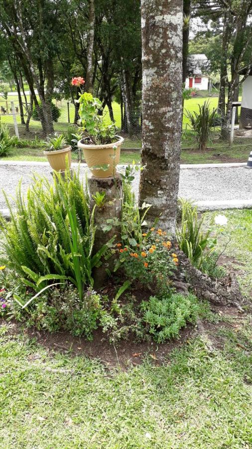 Recanto Do Saiqui Canela Eksteriør billede