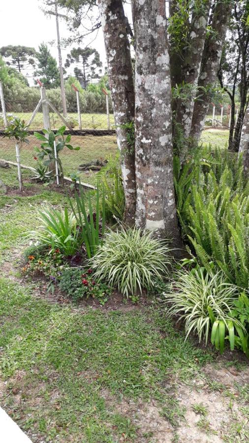 Recanto Do Saiqui Canela Eksteriør billede